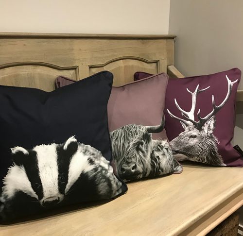 Cushions